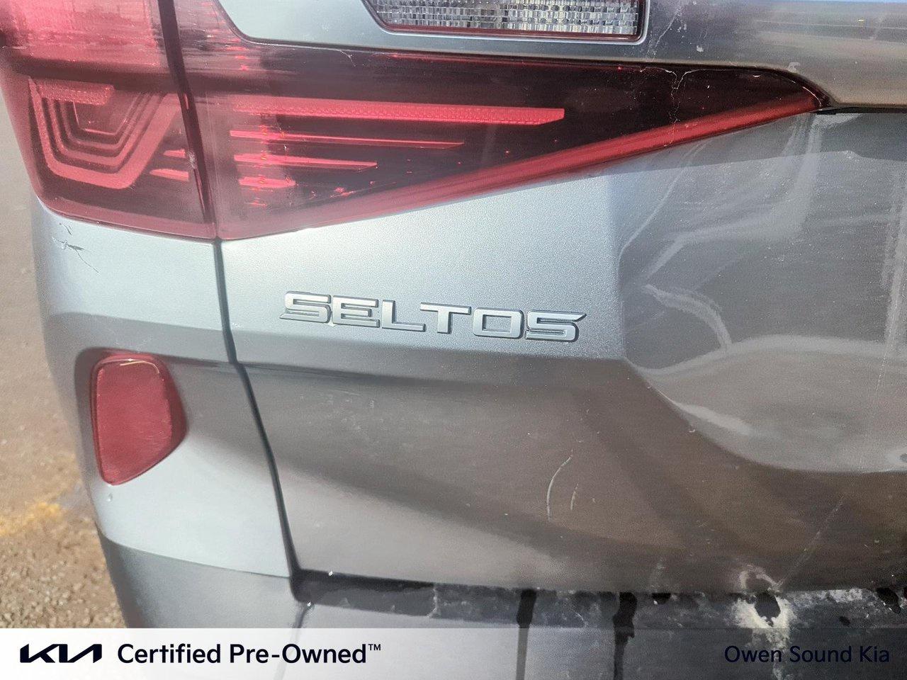 2023 Kia Seltos EX PREMIUM Photo