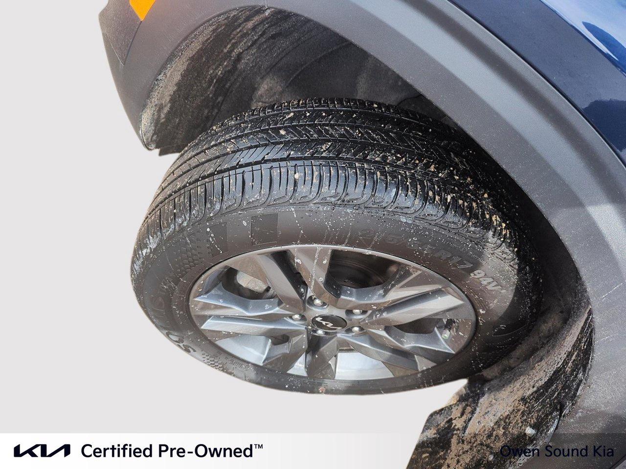 2023 Kia Seltos LX Photo