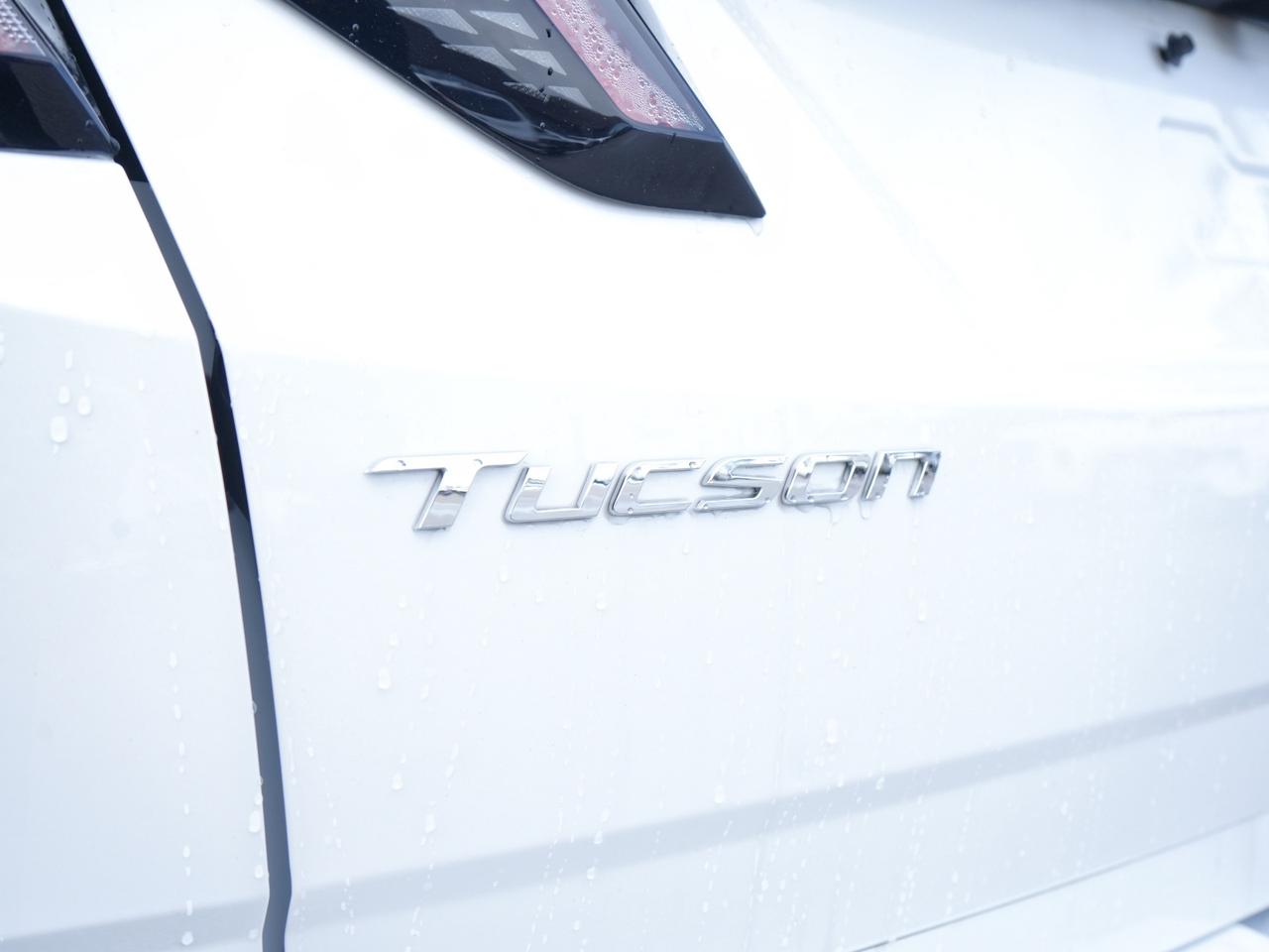 2023 Hyundai Tucson N Line Photo