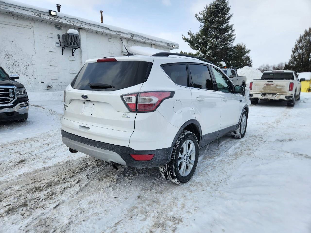 2017 Ford Escape SE 4dr 4x4 Photo