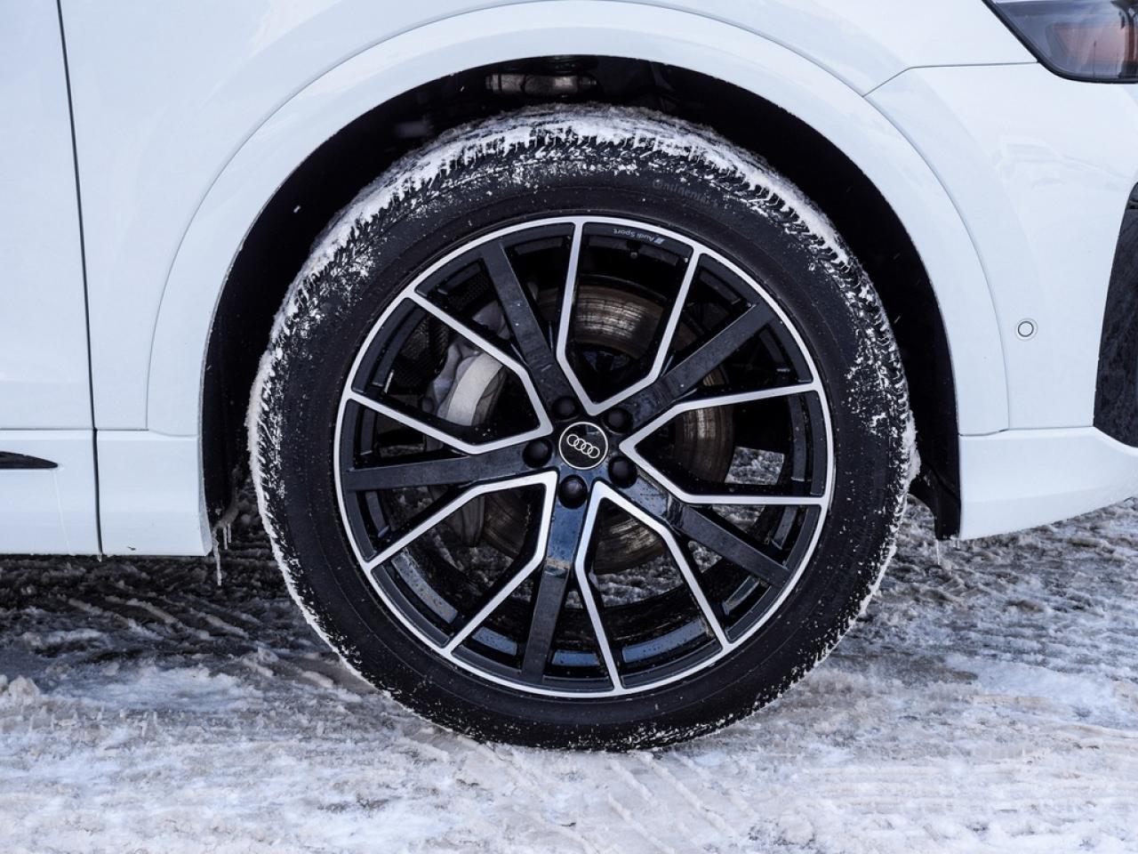 2025 Audi Q8 55 Progressiv 4dr All-Wheel Drive quattro Sport Utility Photo