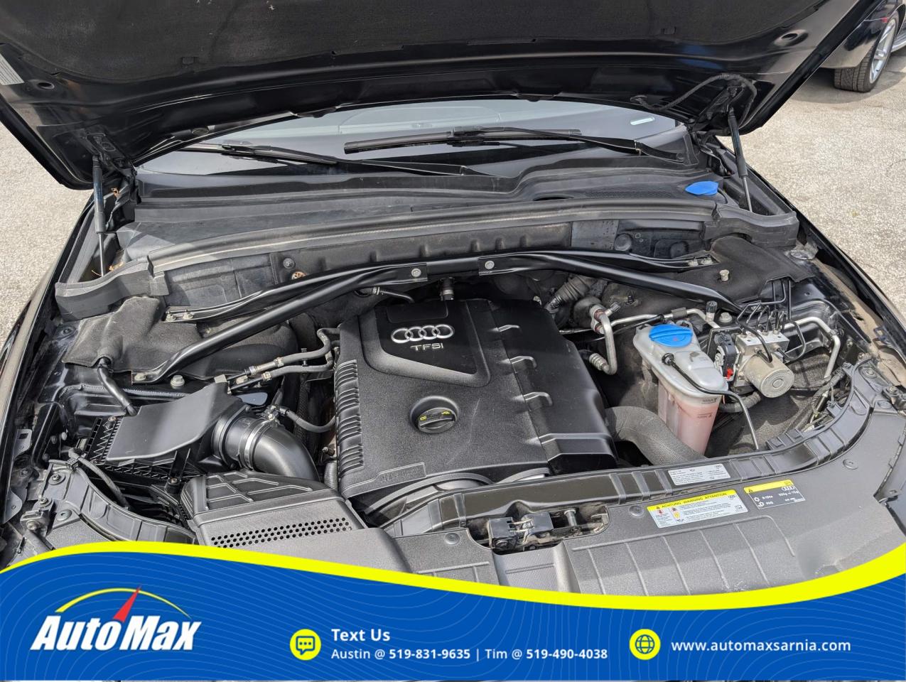 2016 Audi Q5 2.0T Progressiv 4dr All-wheel Drive quattro Sport Utility Photo