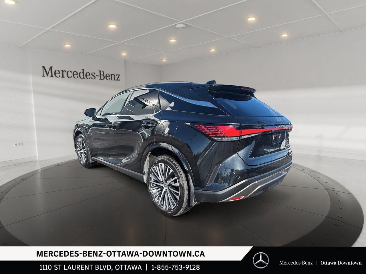 2023 Lexus RX 350 LUXURY TRIM / Photo