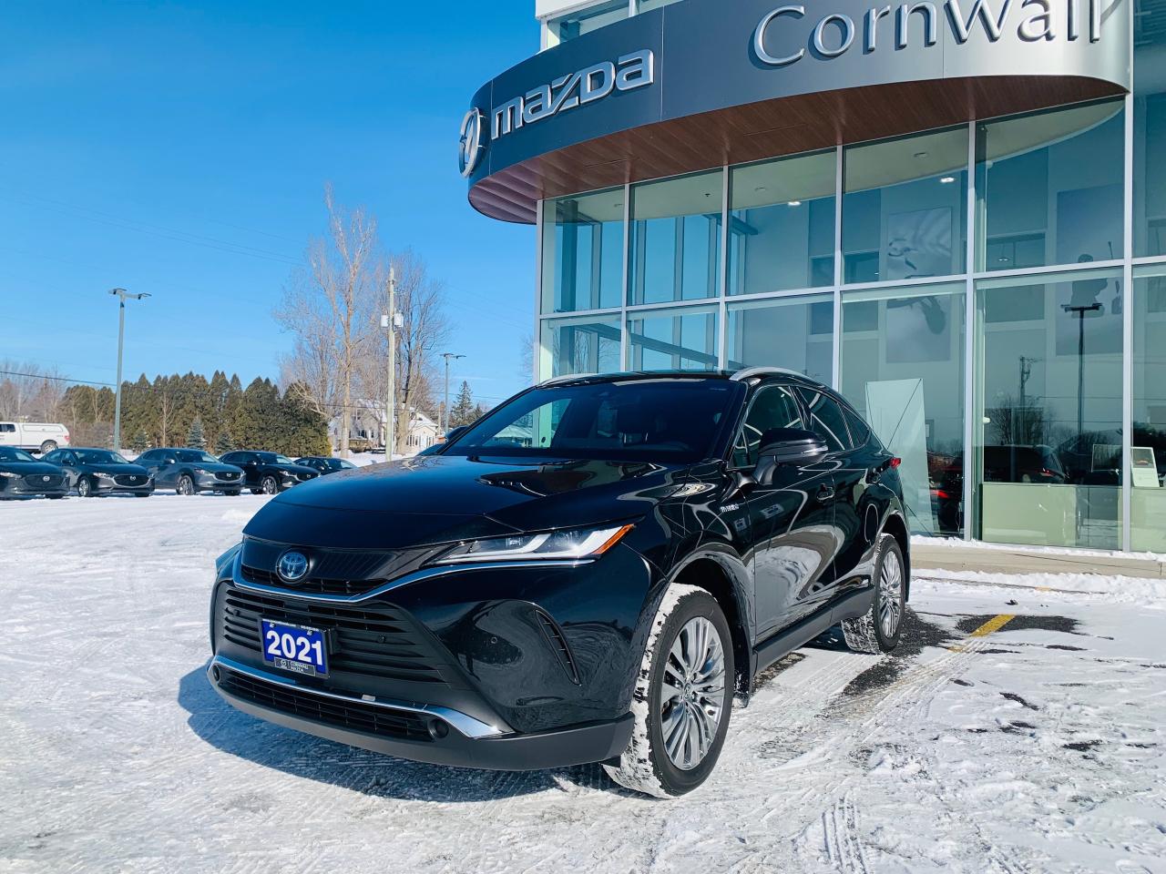 2021 Toyota Venza XLE 4dr All-Wheel Drive Photo