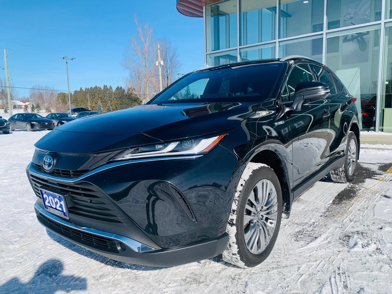 2021 Toyota Venza XLE 4dr All-Wheel Drive Photo