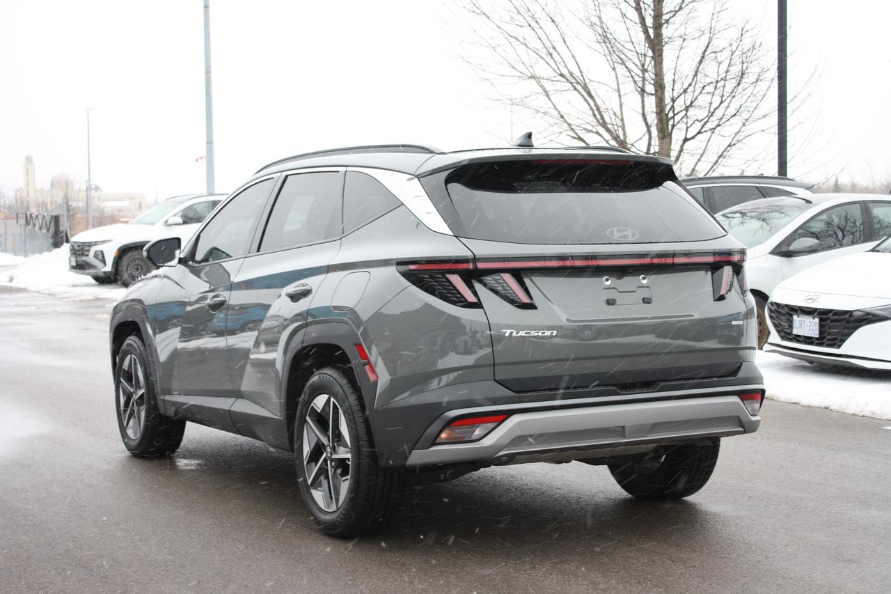 2025 Hyundai Tucson Preferred AWD w-Trend Pkg Photo
