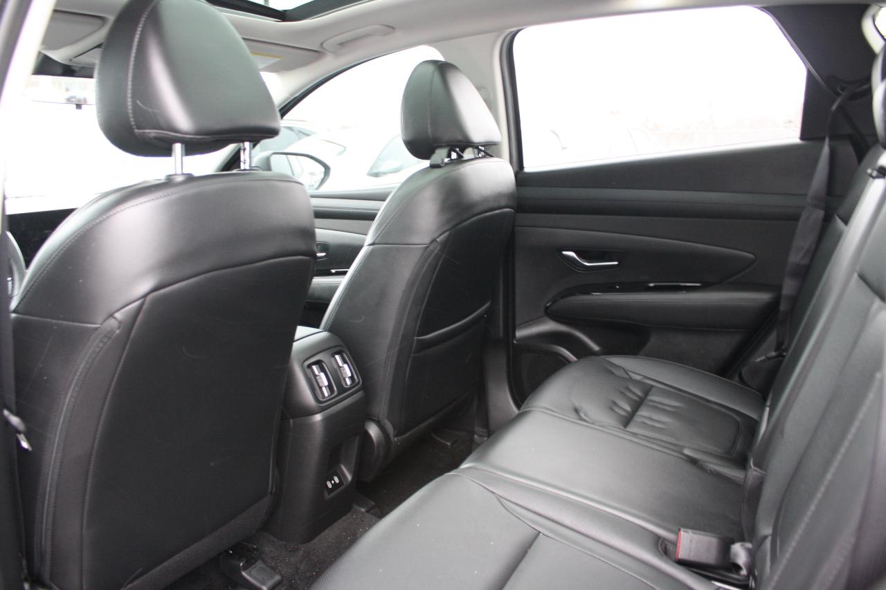2025 Hyundai Tucson Preferred AWD w-Trend Pkg Photo