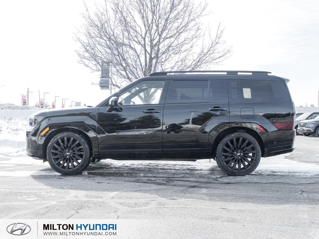 2024 Hyundai Santa Fe Ultimate Calligraphy 4dr All-Wheel Drive Photo