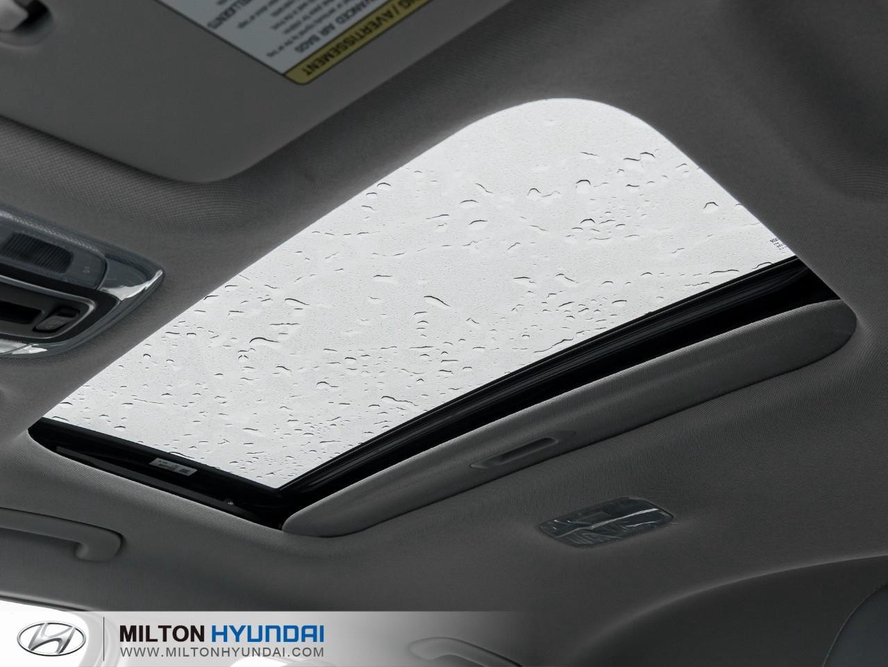 2026 Hyundai Elantra HEV Luxury 4dr Sedan Photo