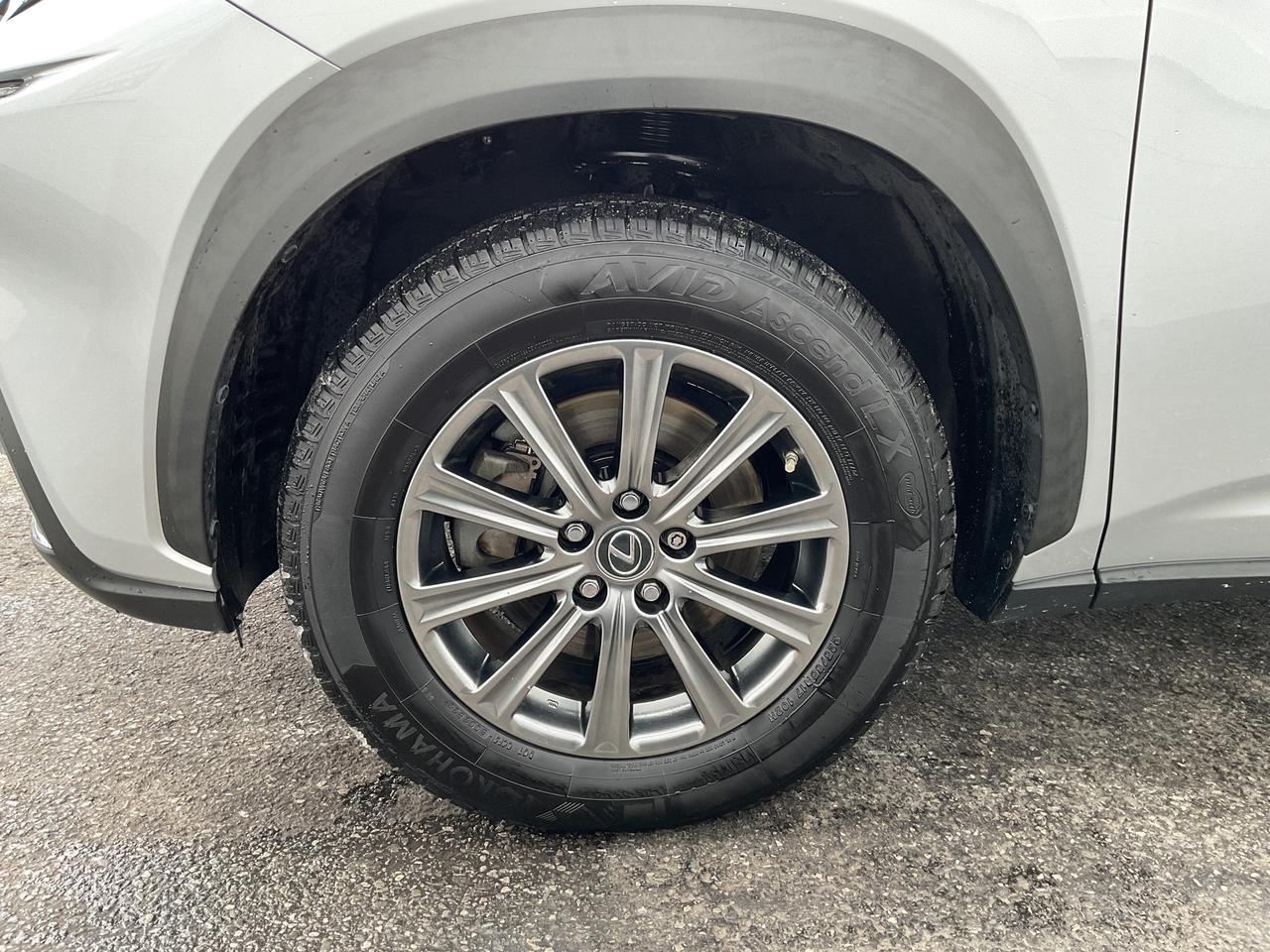 2018 Lexus NX  Photo