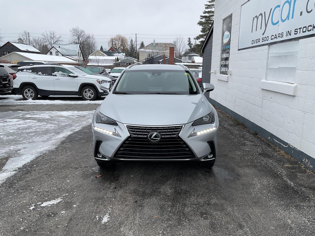 2018 Lexus NX  Photo