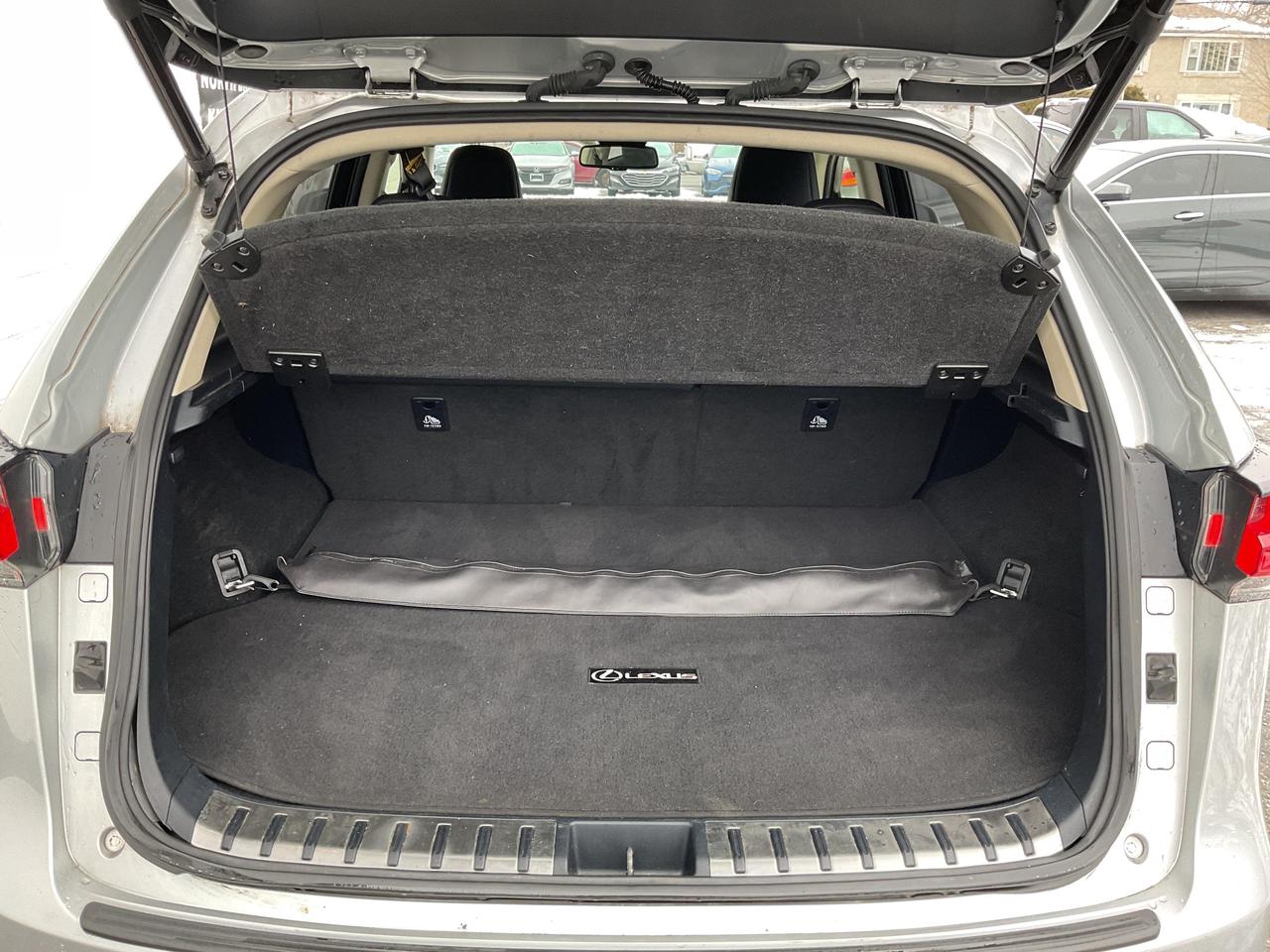 2018 Lexus NX  Photo