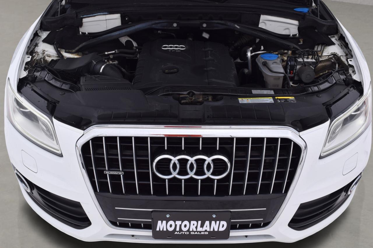 2016 Audi Q5 AWD Progressiv Panoramic Sunroof Photo