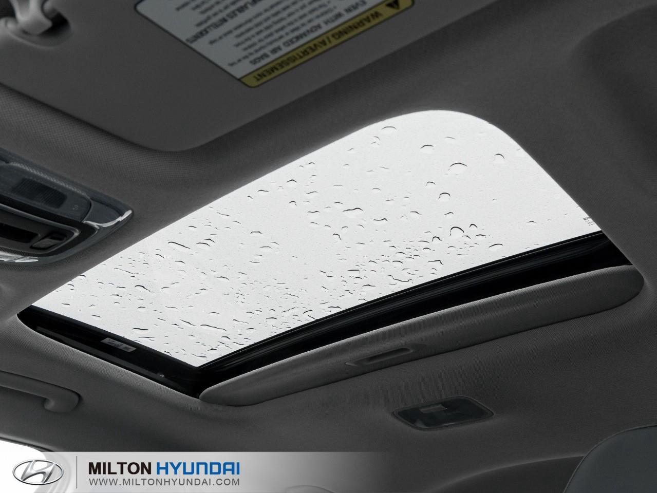 2026 Hyundai Elantra HEV Luxury 4dr Sedan Photo