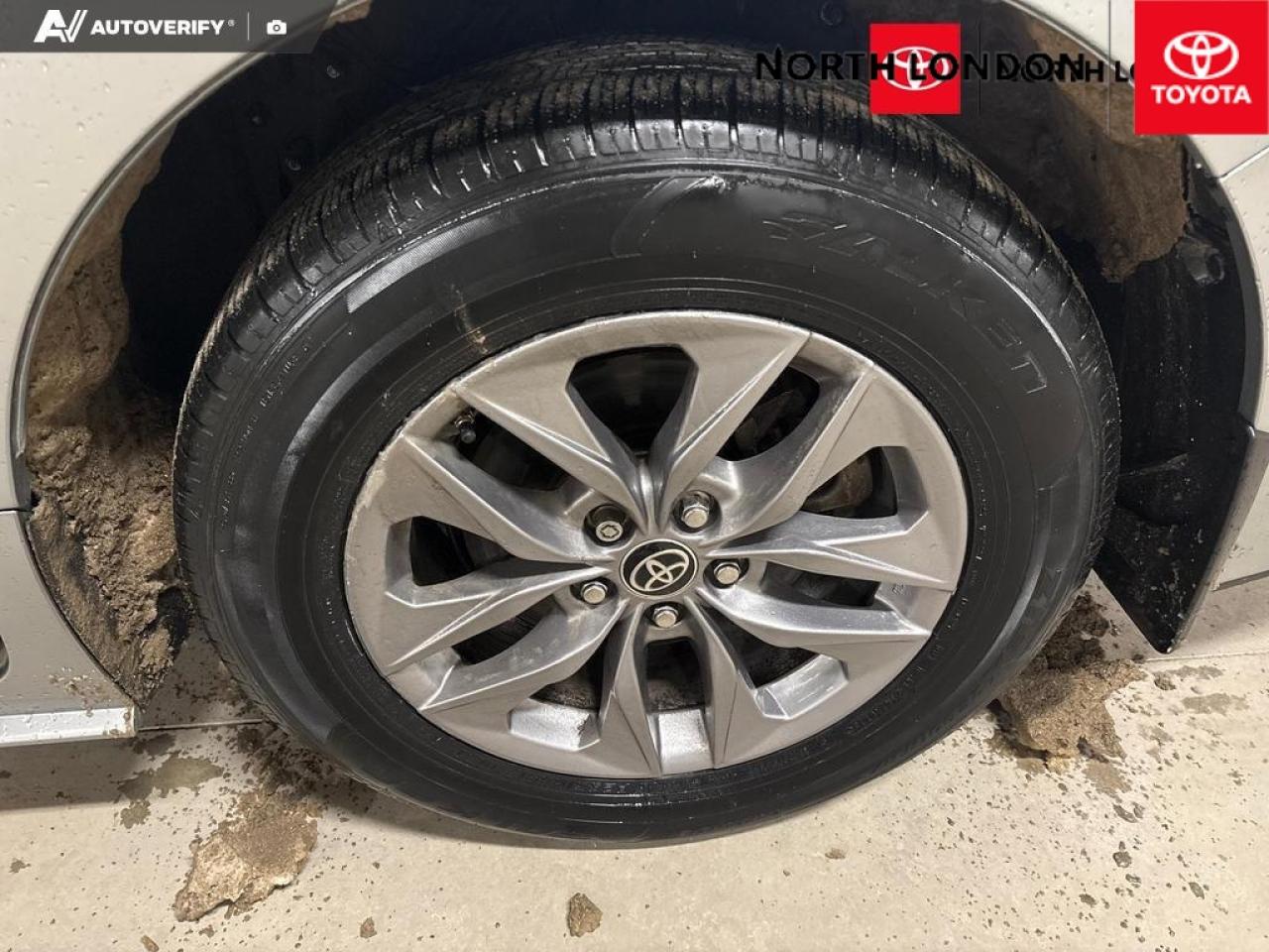 2023 Toyota Sienna  Photo