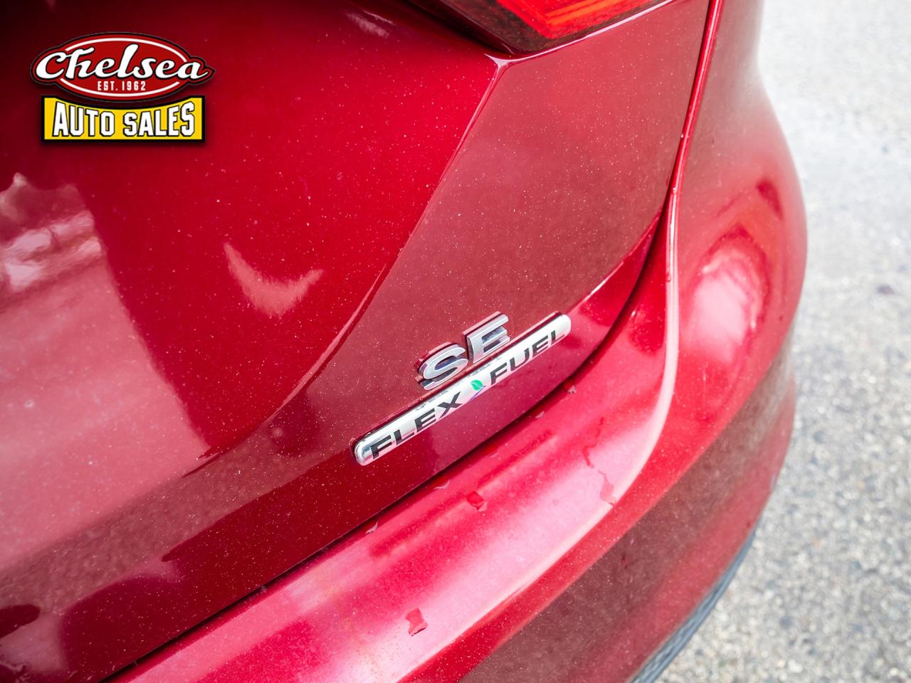 2014 Ford Focus SE SEDAN Photo