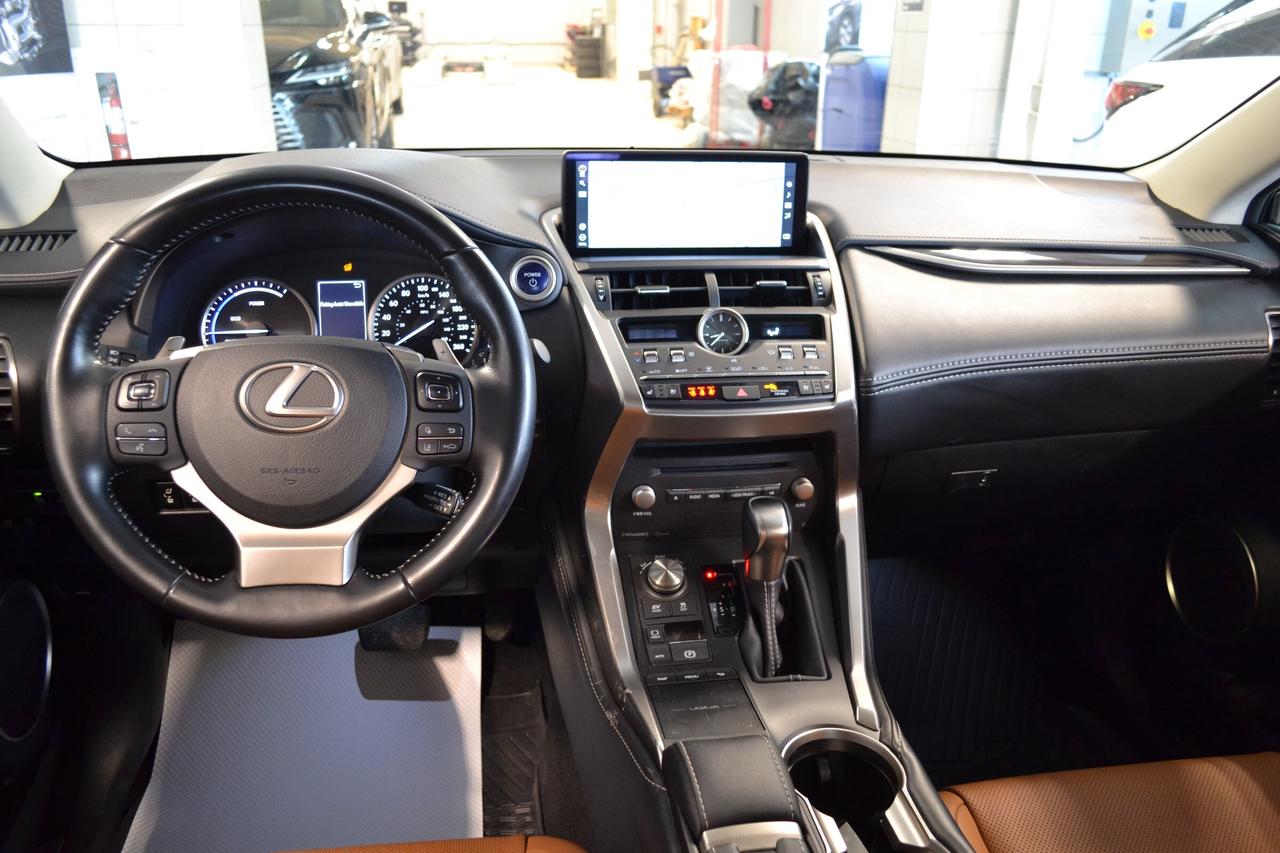 2020 Lexus NX 300h  Photo3