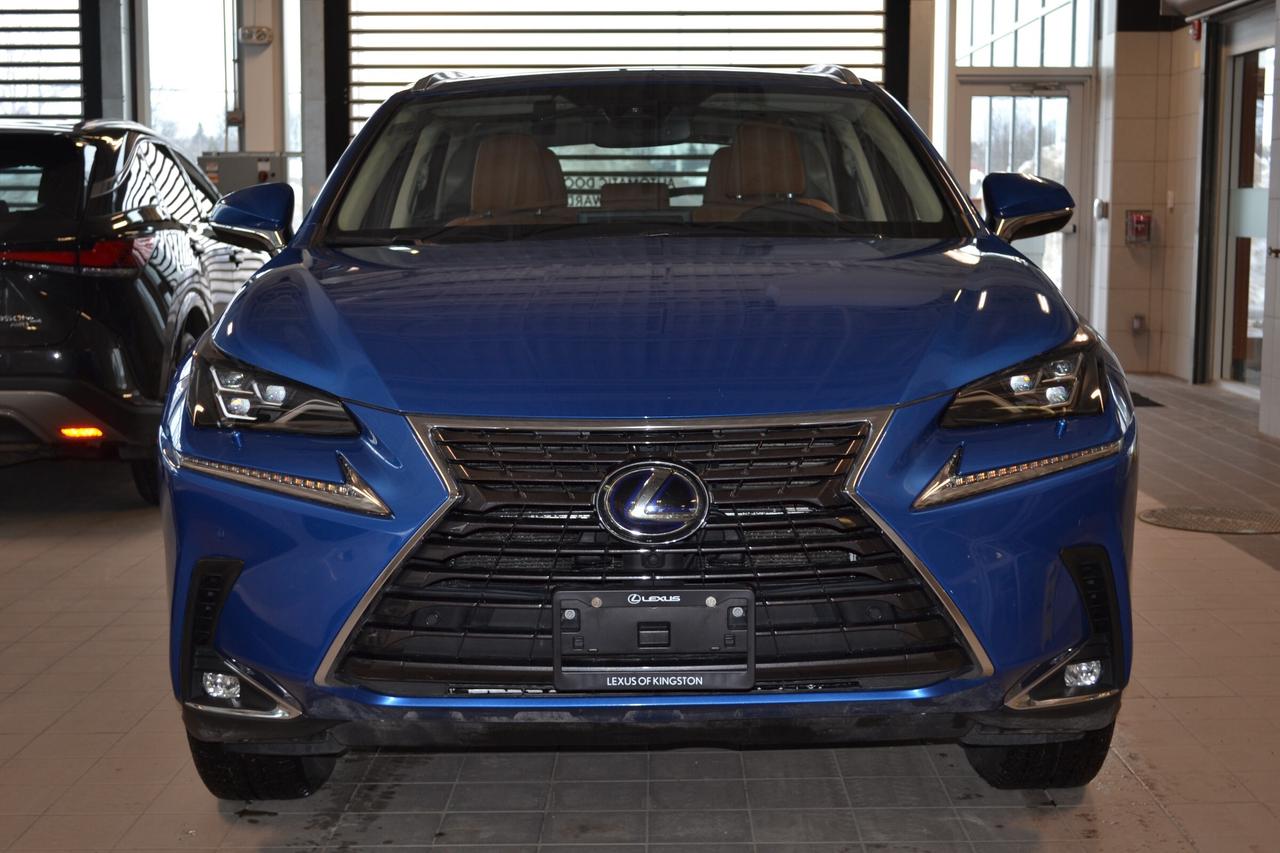 2020 Lexus NX 300h  Photo