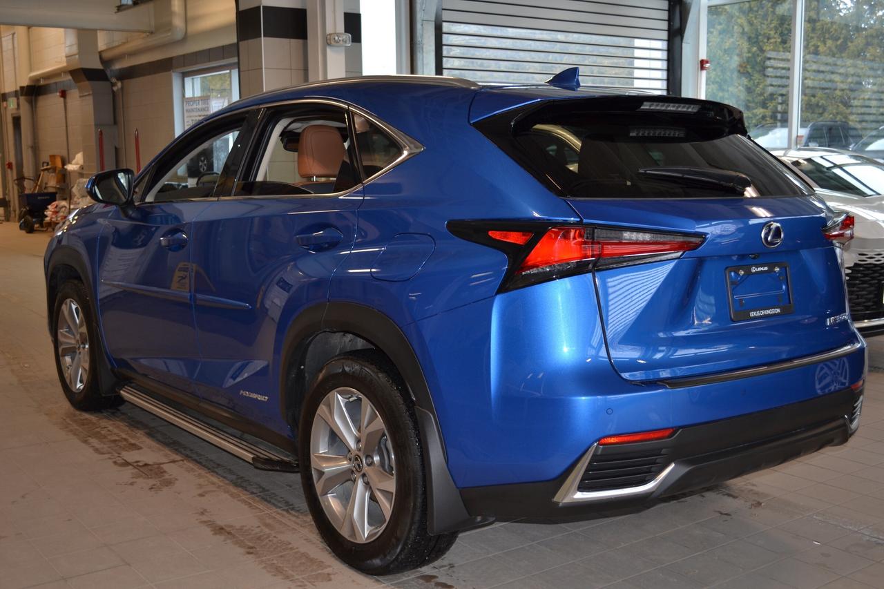 2020 Lexus NX 300h  Photo