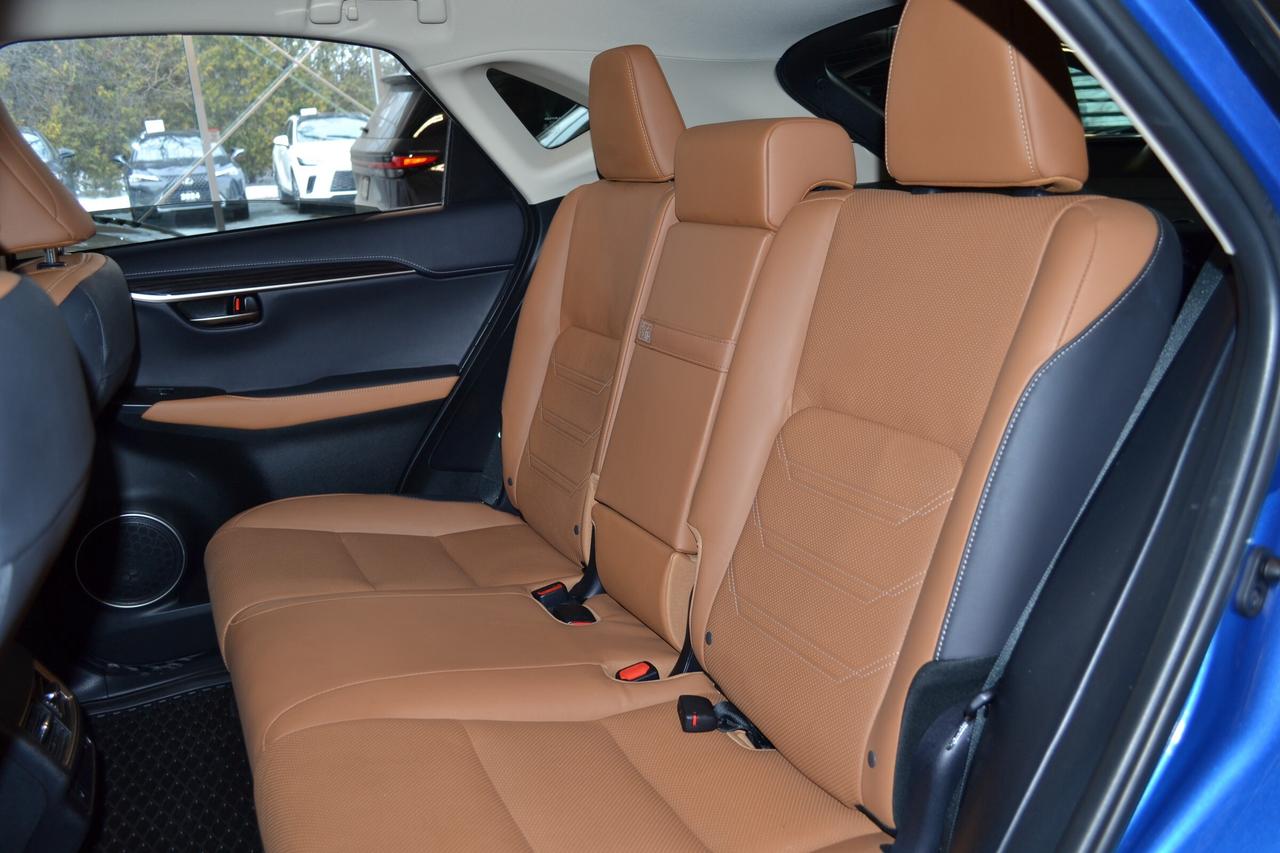 2020 Lexus NX 300h  Photo