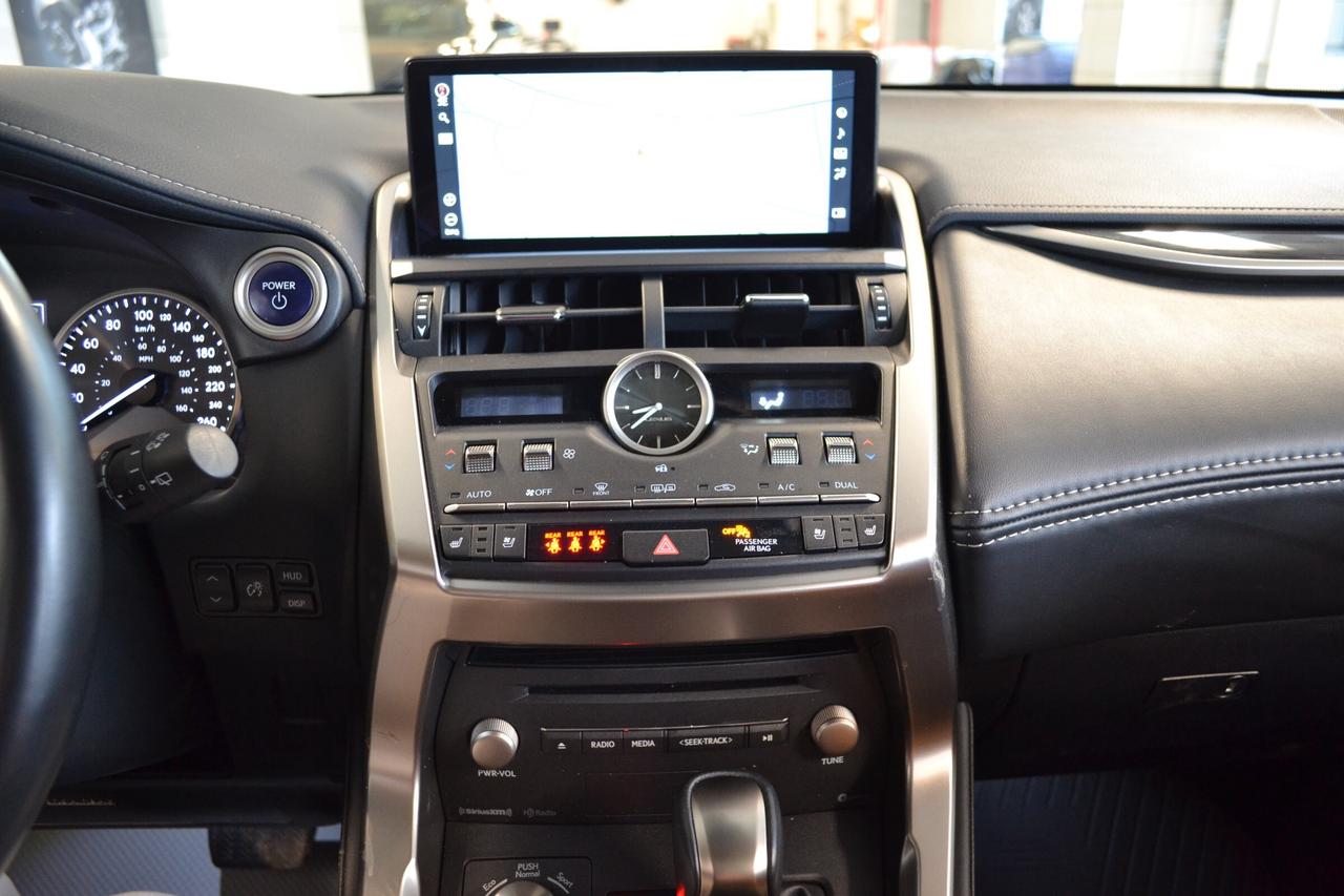 2020 Lexus NX 300h  Photo