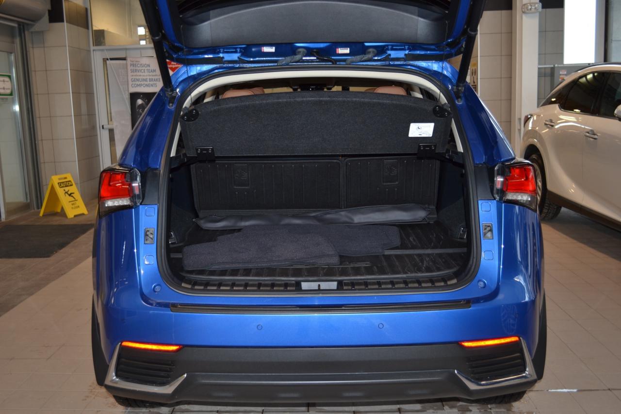 2020 Lexus NX 300h  Photo