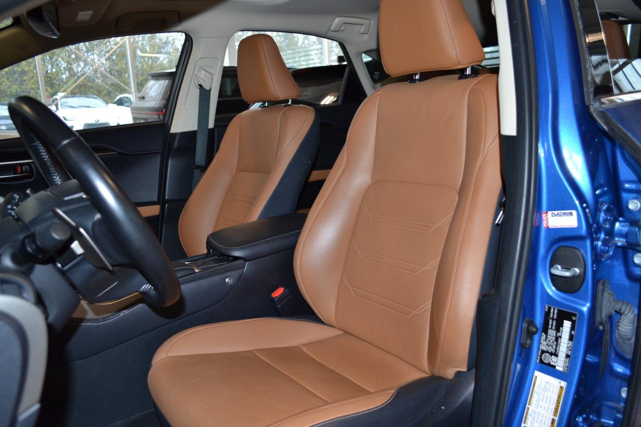 2020 Lexus NX 300h  Photo