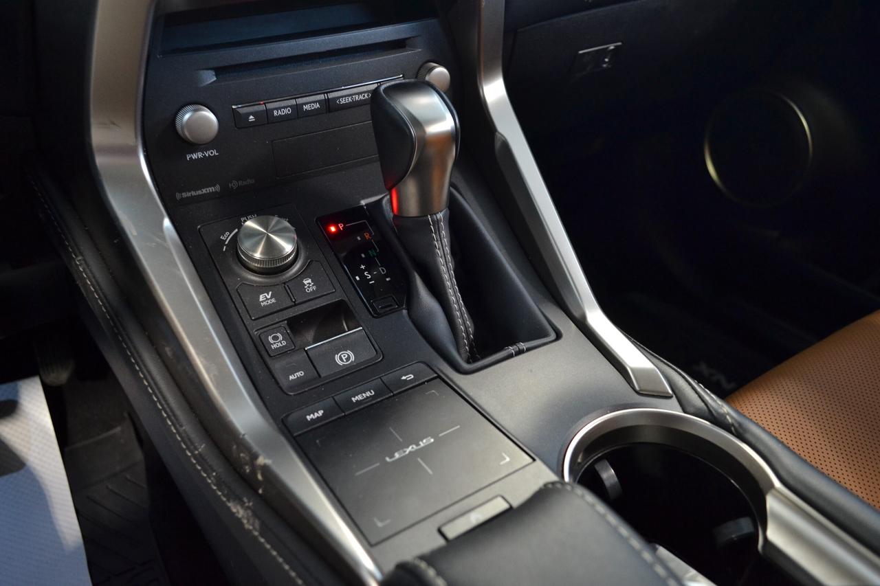 2020 Lexus NX 300h  Photo