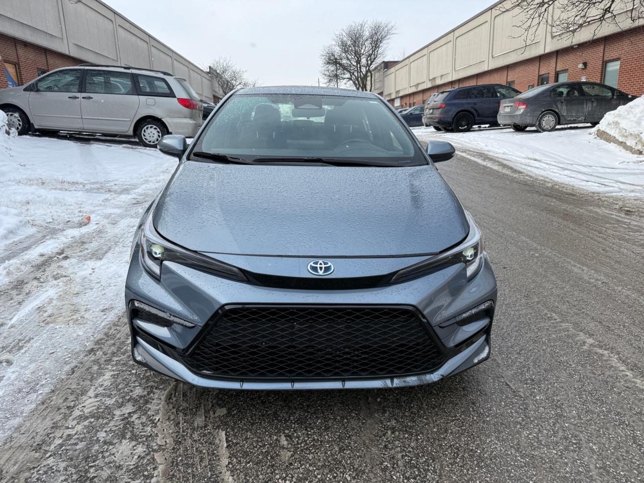 2025 Toyota Corolla Hybrid SE CVT AWD Photo