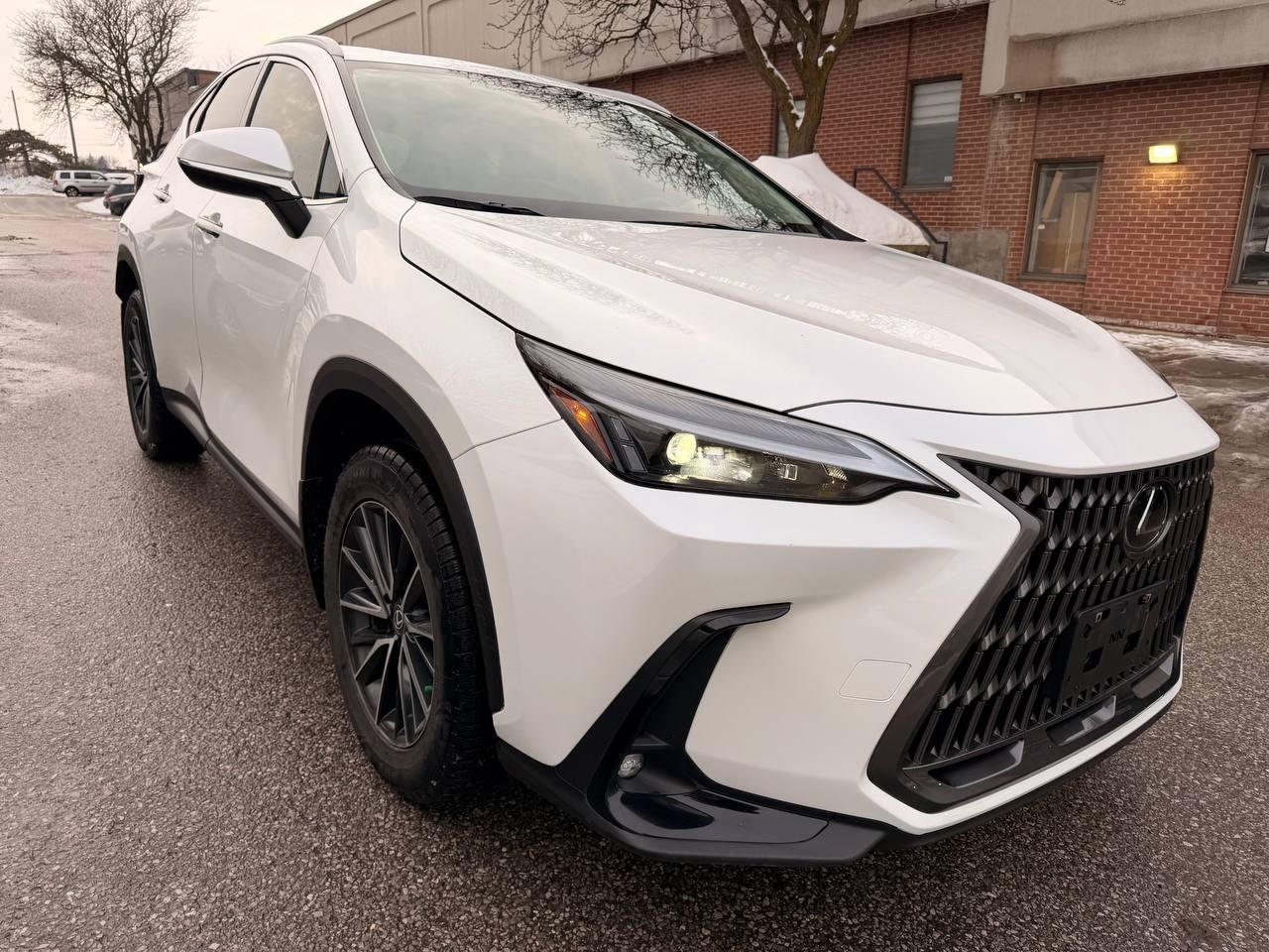 2024 Lexus NX NX 350h AWD , PREMIUM PKG, LEATHER, SUNROOF Photo2