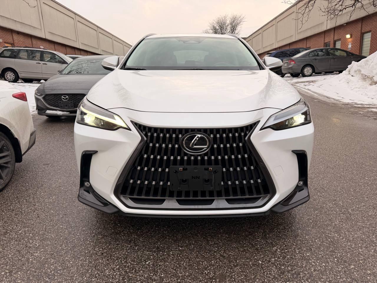 2024 Lexus NX NX 350h AWD , PREMIUM PKG, LEATHER, SUNROOF Photo