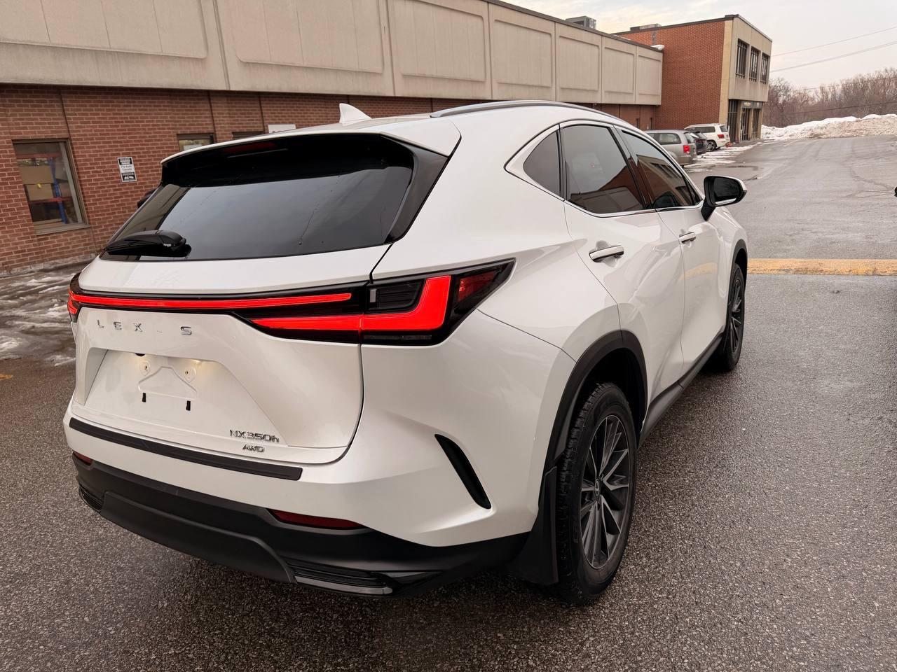 2024 Lexus NX NX 350h AWD , PREMIUM PKG, LEATHER, SUNROOF Photo