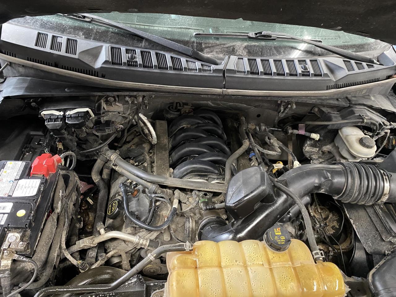 2016 Ford F-150 4WD SuperCrew 145  XLT Photo