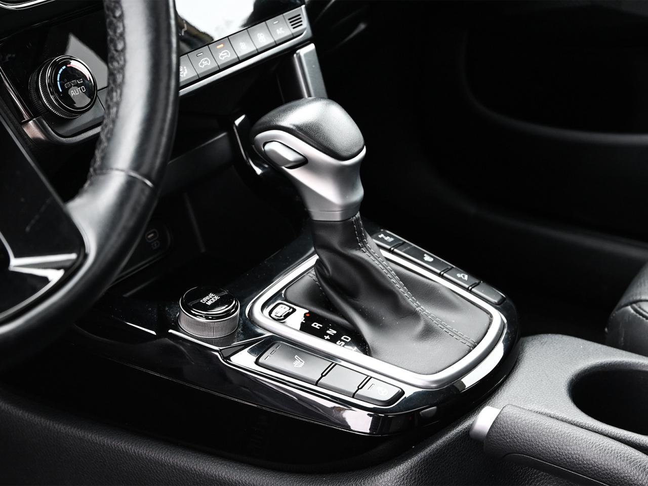 2024 Kia Seltos EX Photo