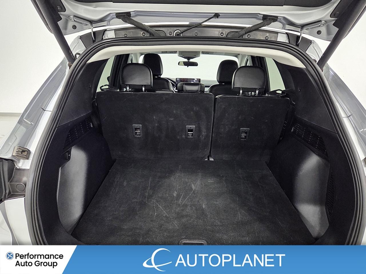 2024 Ford Escape Plug-In Hybrid -FINANCE @$82/WK OR LEASE @$97/WK Photo