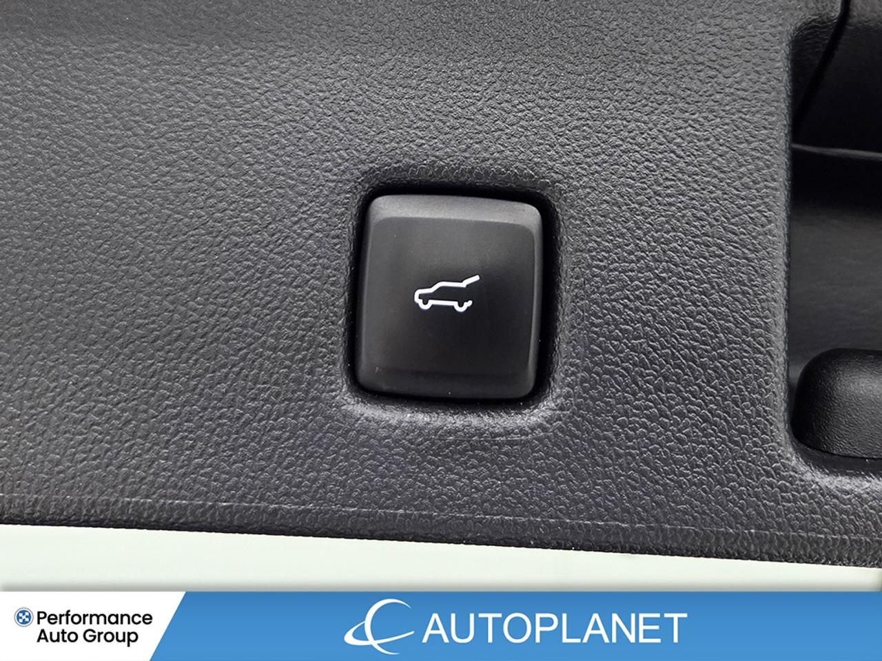 2024 Ford Escape Plug-In Hybrid -FINANCE @$82/WK OR LEASE @$97/WK Photo