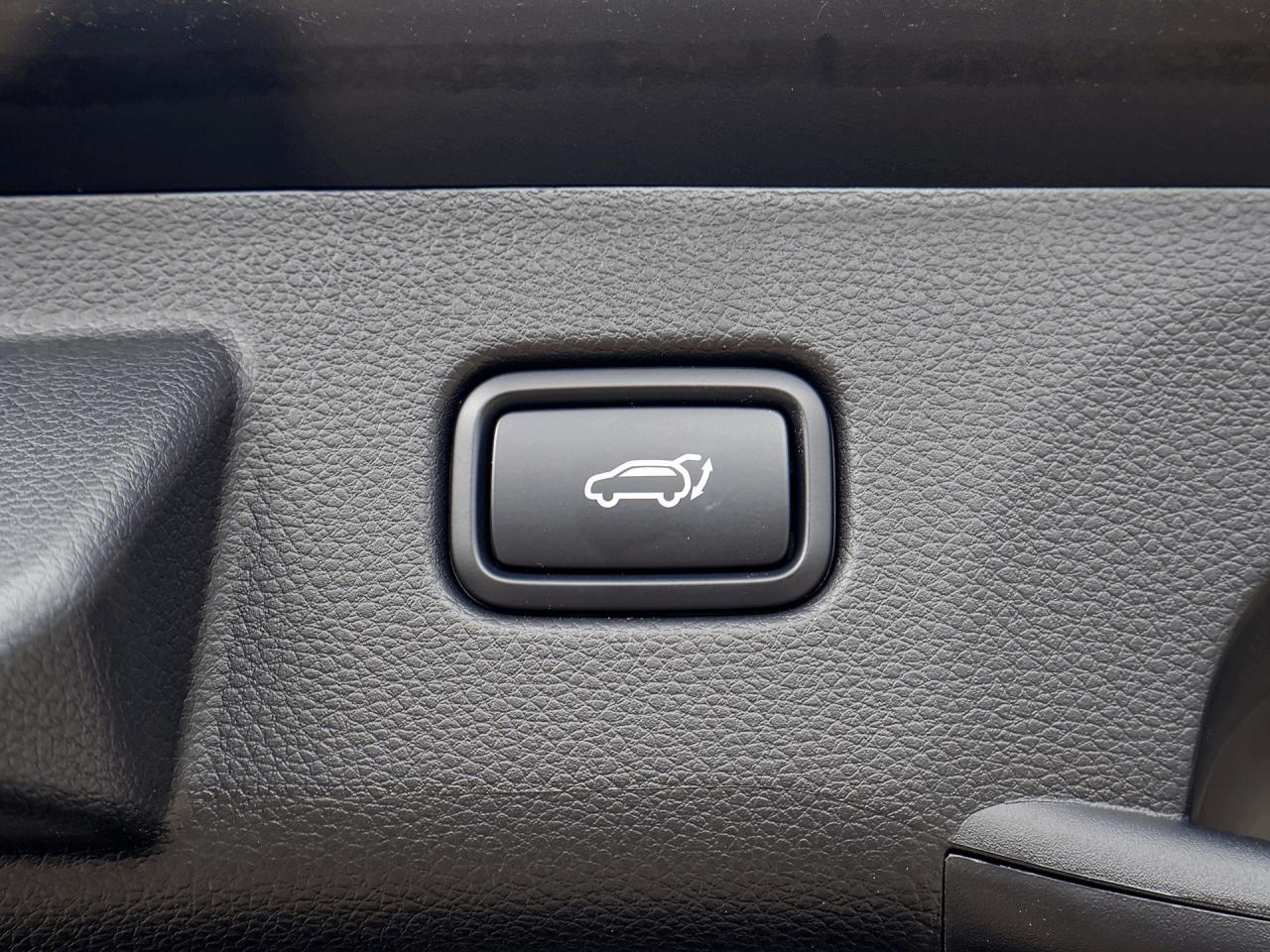 2026 Kia Seltos X-Line AWD   Demonstrator Photo