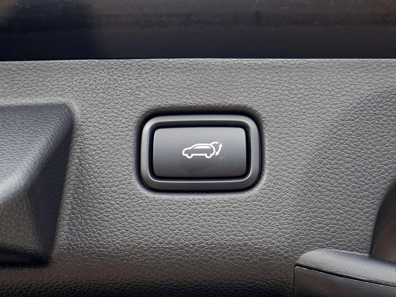 2026 Kia Seltos X-Line AWD   Demonstrator Photo