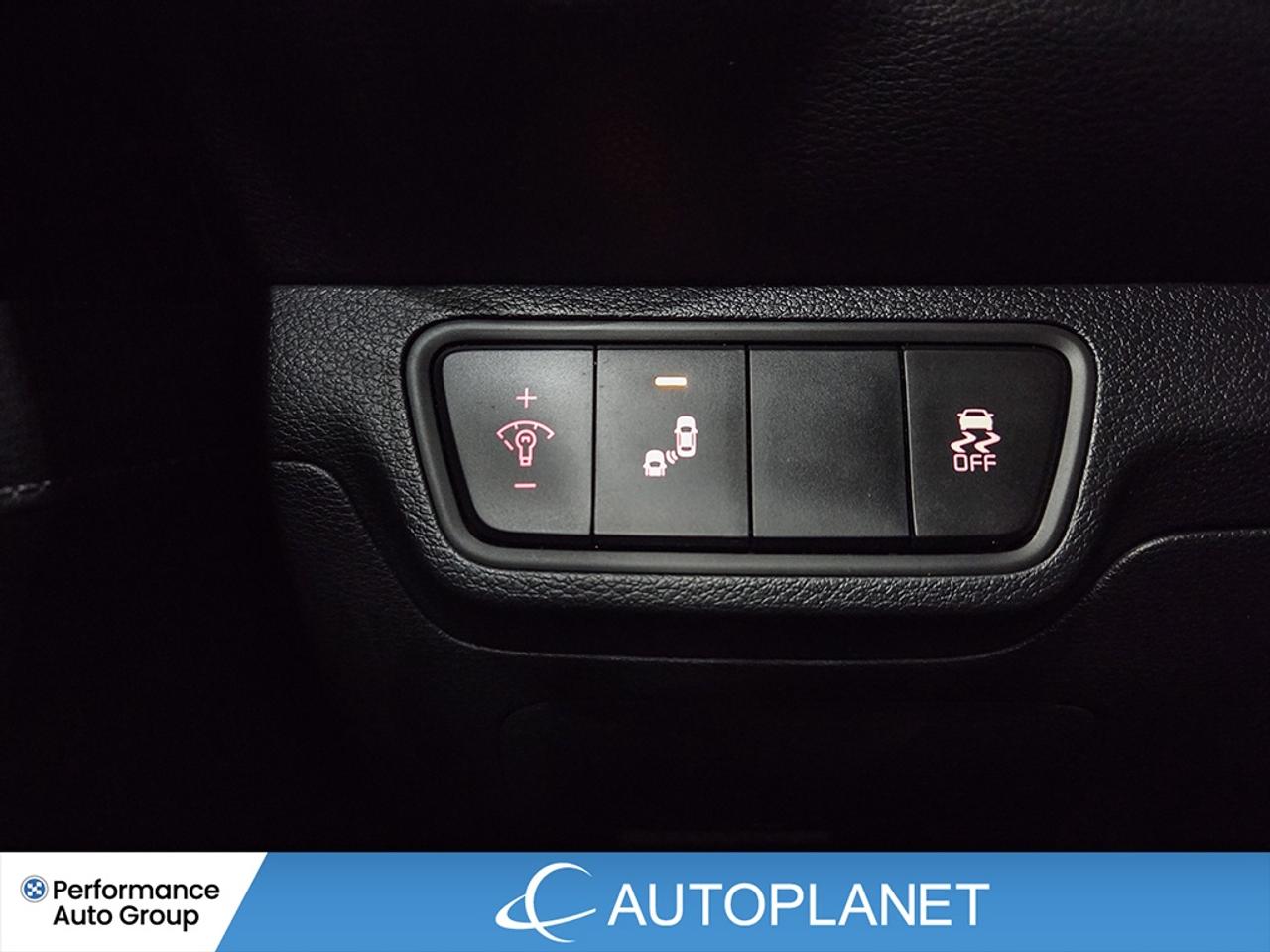 2024 Kia Forte EX - FINANCE @$61/WK OR LEASE @$76/WK Photo