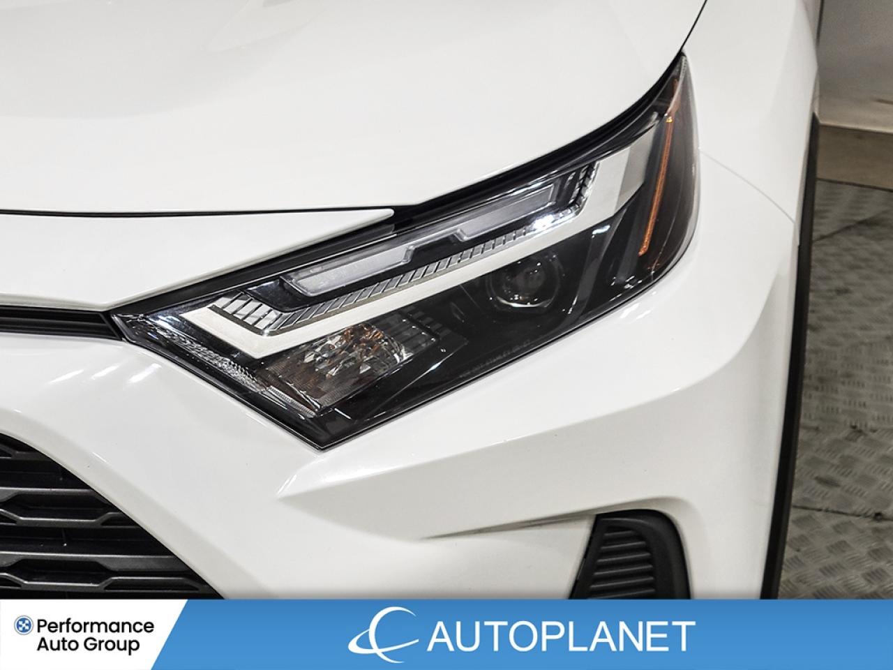 2024 Toyota RAV4 XLE AWD -  FINANCE @$113/WK OR LEASE @$142/WK Photo