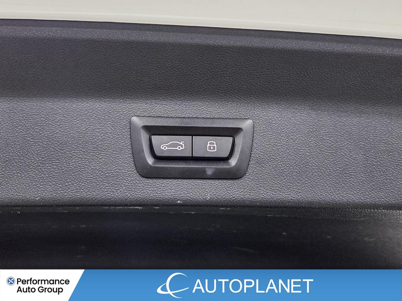 2024 BMW X3 xDrive30i, Premium Essential Pkg, Navi, Bluetooth! Photo