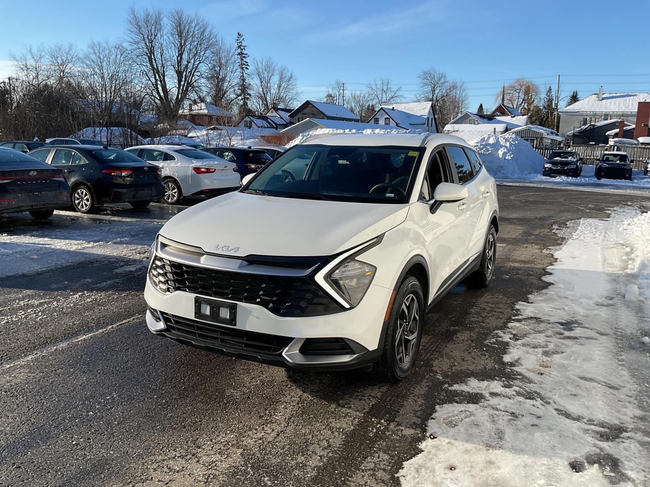 2024 Kia Sportage  Photo