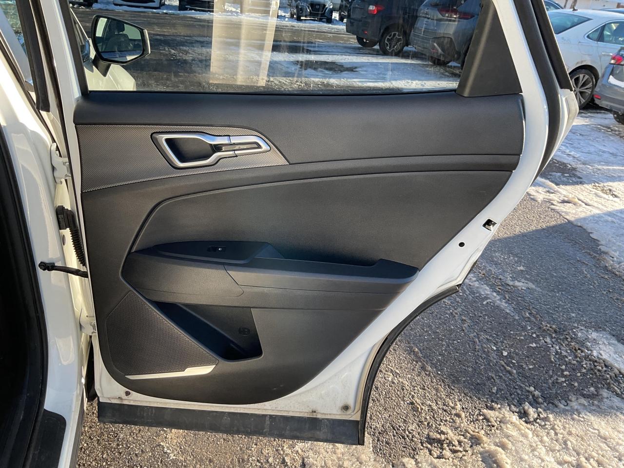 2024 Kia Sportage  Photo