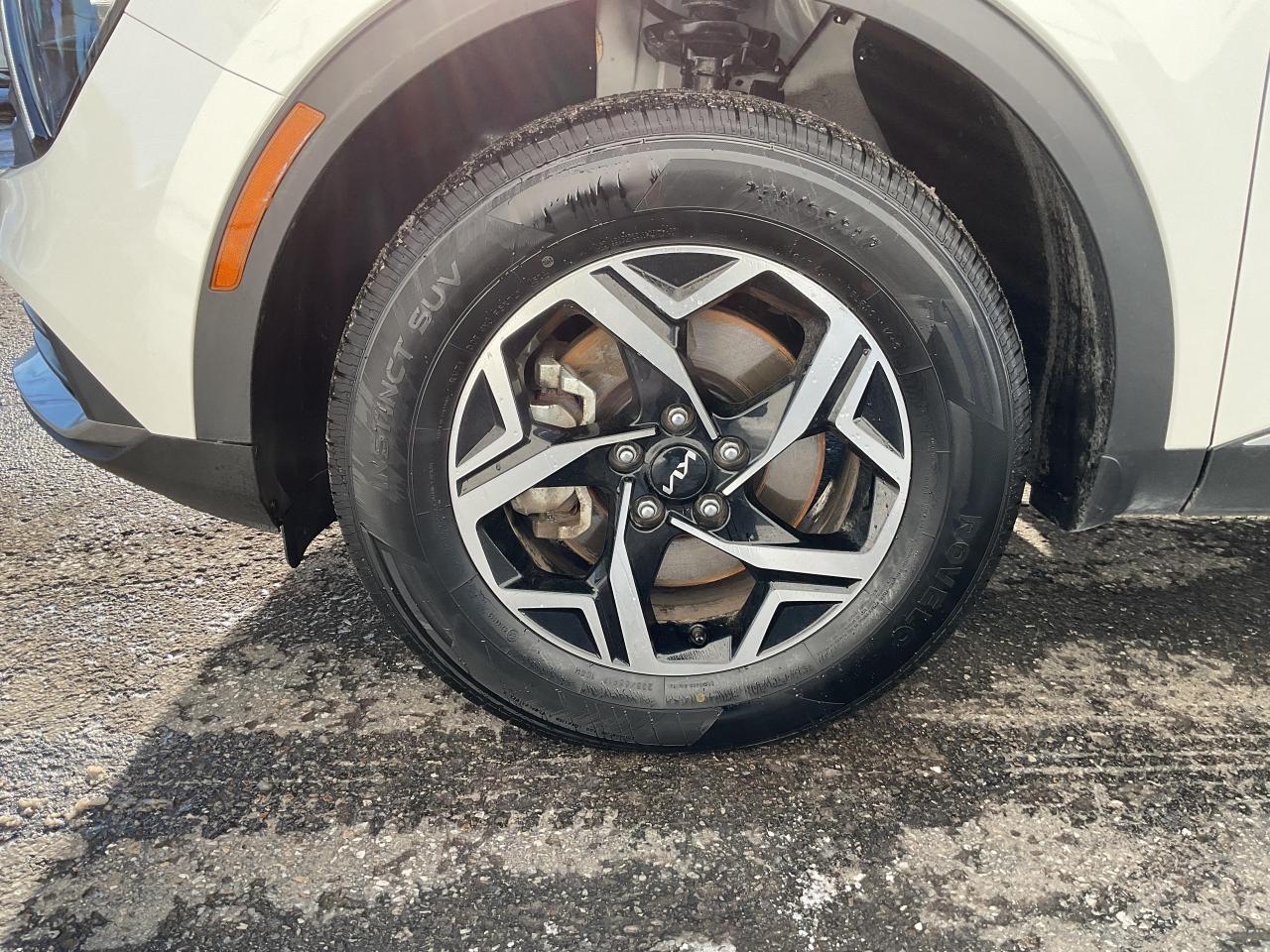 2024 Kia Sportage  Photo