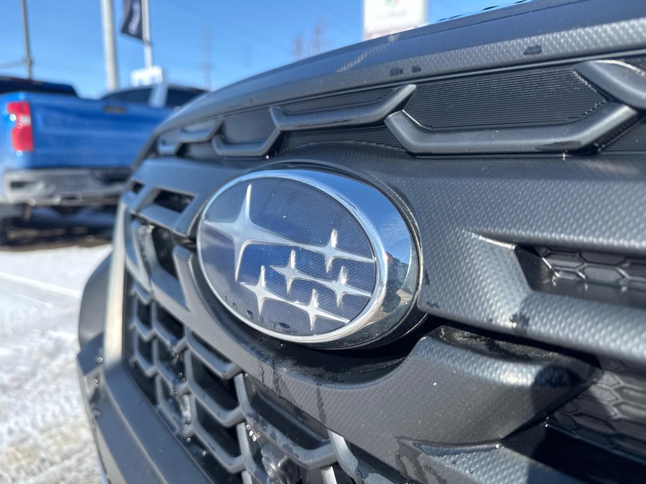 2023 Subaru Forester Wilderness 4dr All-Wheel Drive Photo