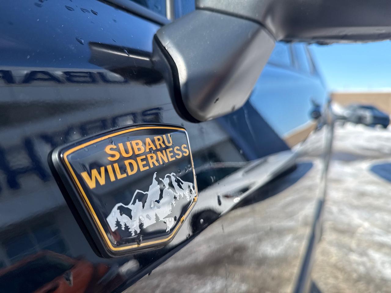 2023 Subaru Forester Wilderness 4dr All-Wheel Drive Photo