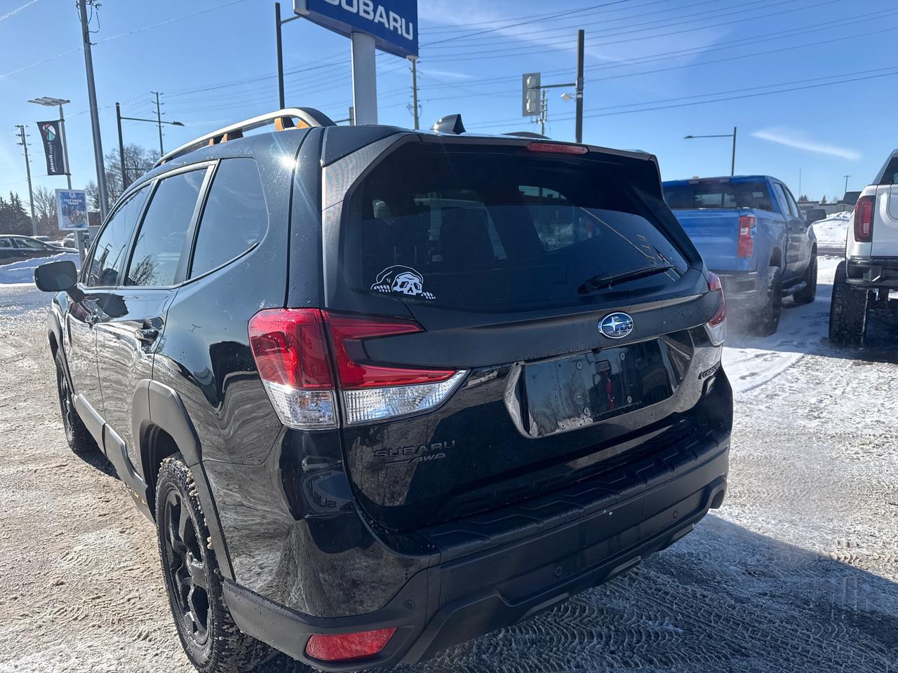 2023 Subaru Forester Wilderness 4dr All-Wheel Drive Photo