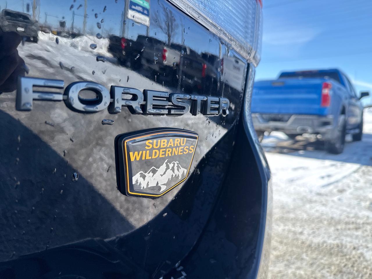 2023 Subaru Forester Wilderness 4dr All-Wheel Drive Photo