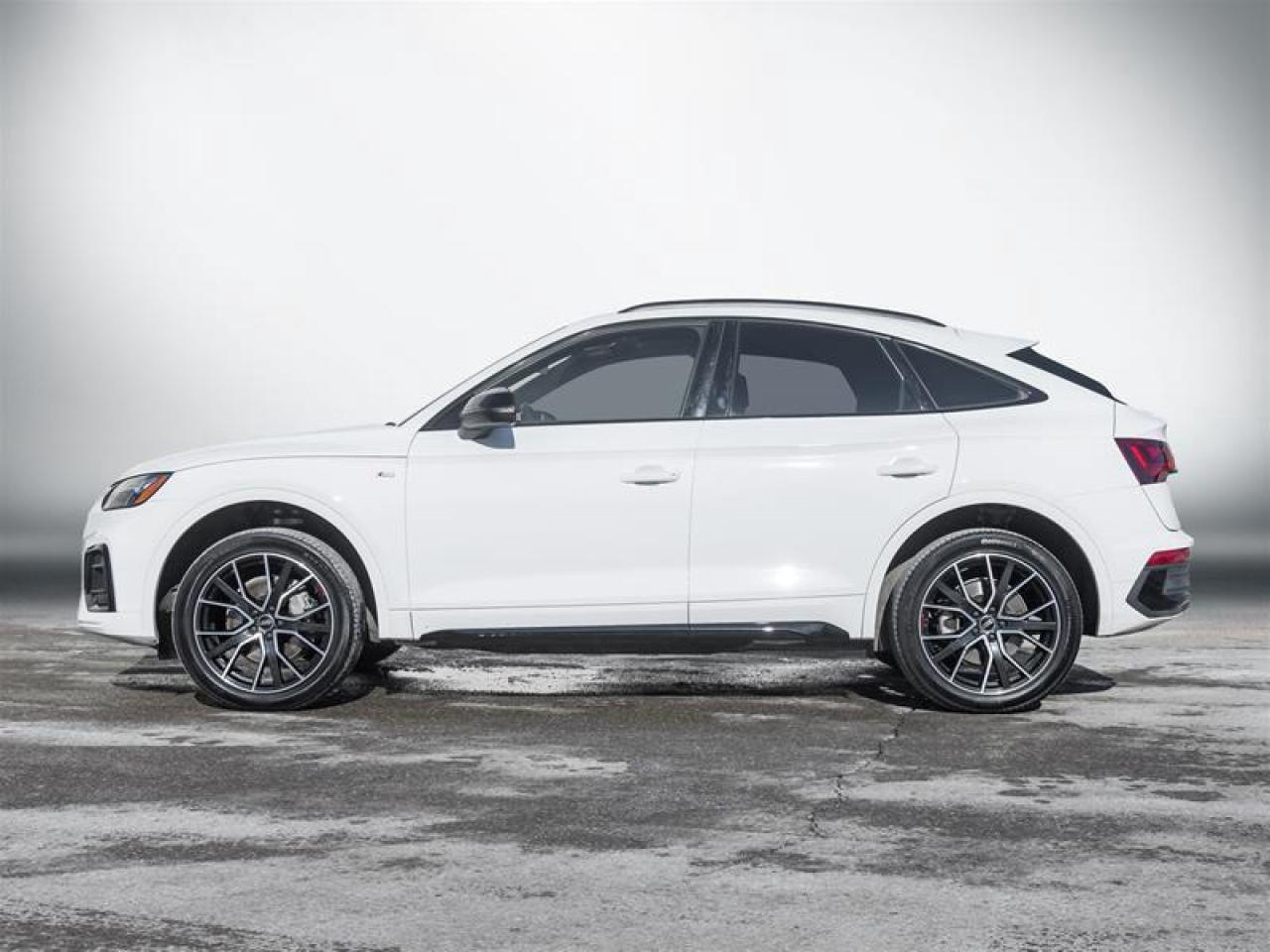 2023 Audi Q5 45 Progressiv 4dr All-Wheel Drive quattro Sportback Photo