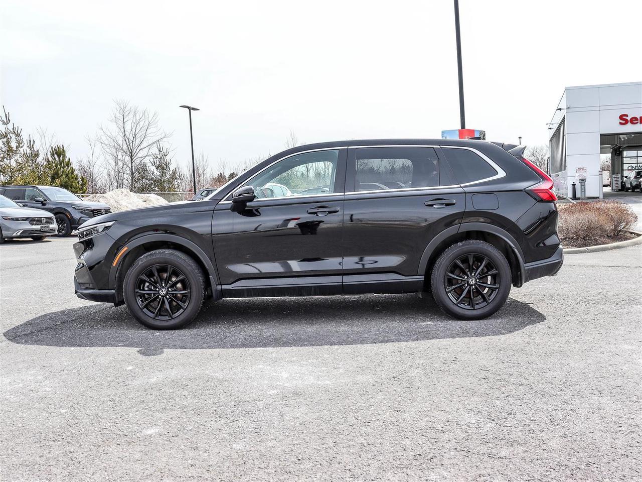 2024 Honda CR-V Hybrid EX-L 4dr All-Wheel Drive Photo4